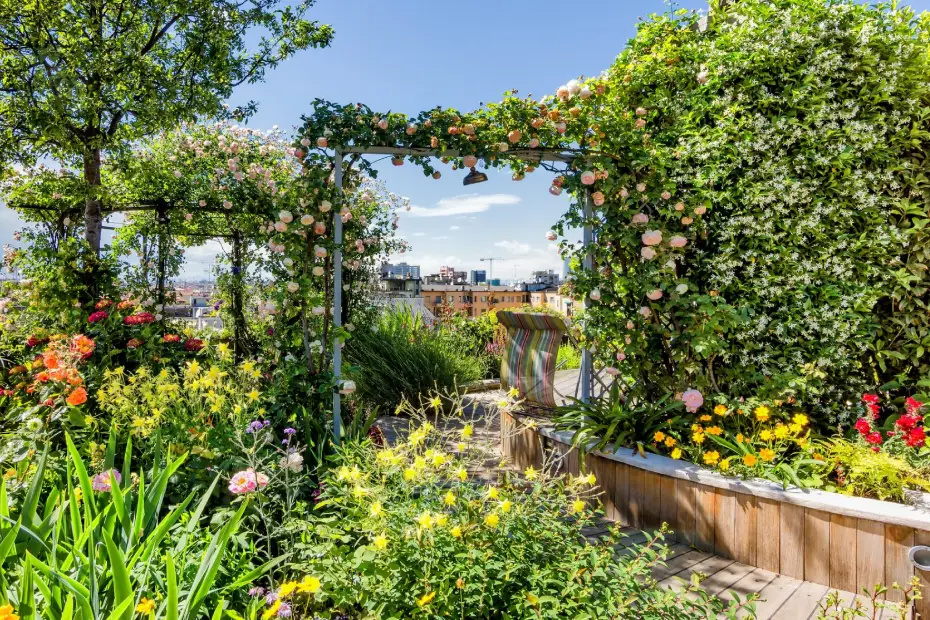 Green Roofs, How Rooftop Gardens Can Combat Climate Change and Create Wildlife Havens