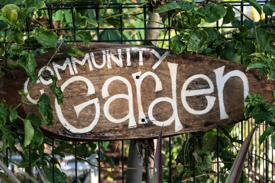 From Vacant Lots to Urban Oases: Turning Abandoned Spaces into Vibrant Community Gardens