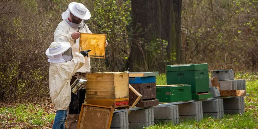 The Urban Beekeeper: Beekeeping, Cultivating Honey in the City