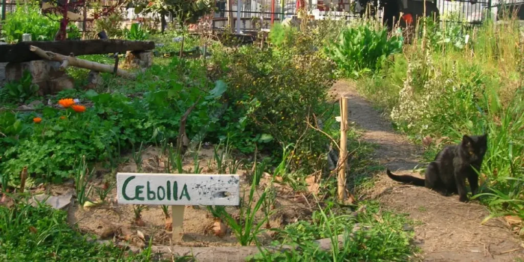 From Vacant Lots to Urban Oases: Turning Abandoned Spaces into Vibrant Community Gardens