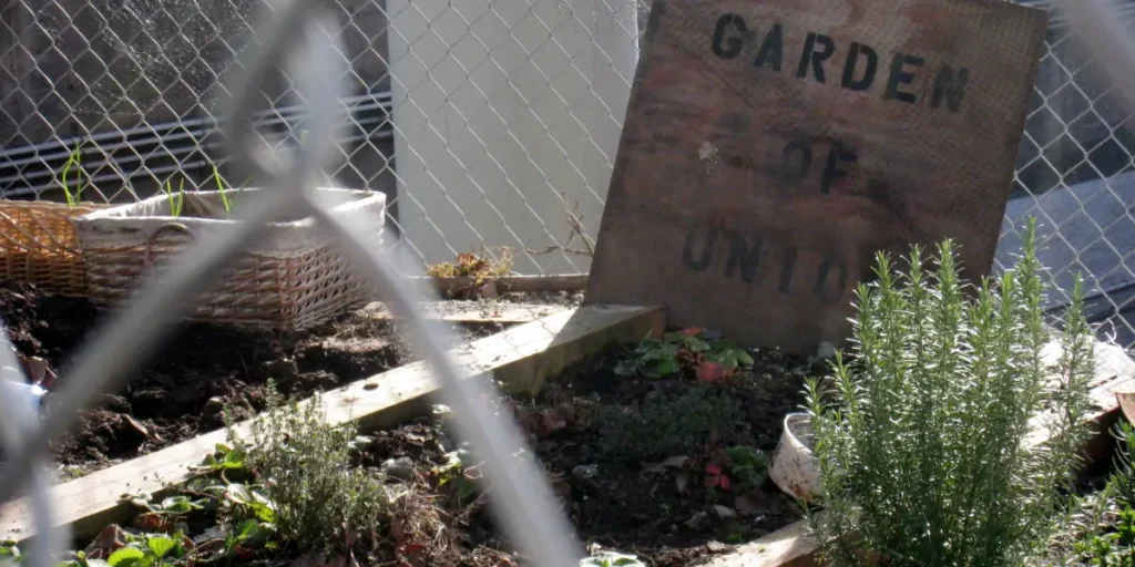 From Vacant Lots to Urban Oases: Turning Abandoned Spaces into Vibrant Community Gardens