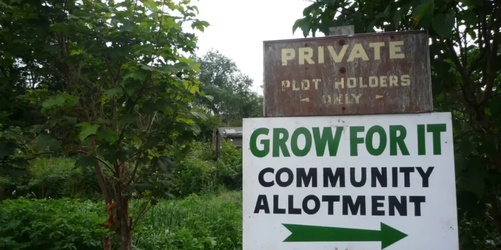 From Vacant Lots to Urban Oases: Turning Abandoned Spaces into Vibrant Community Gardens