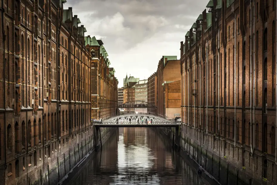 River Revival: Restoring City Waterways for Both Wildlife and People
