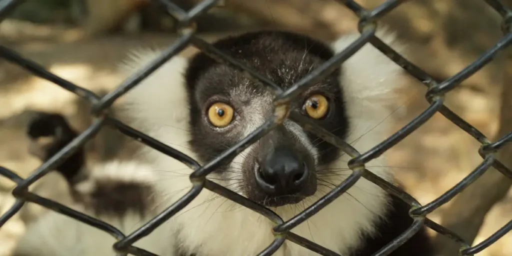 Behind the Scenes at a Wildlife Rehab Center: A Day in the Life of a Wildlife Hero
