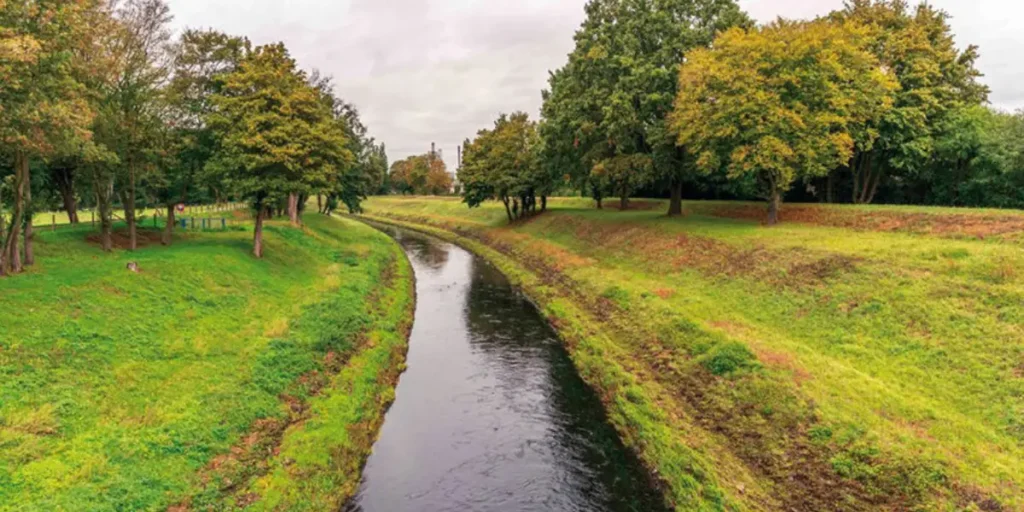 River Revival: Restoring City Waterways for Both Wildlife and People